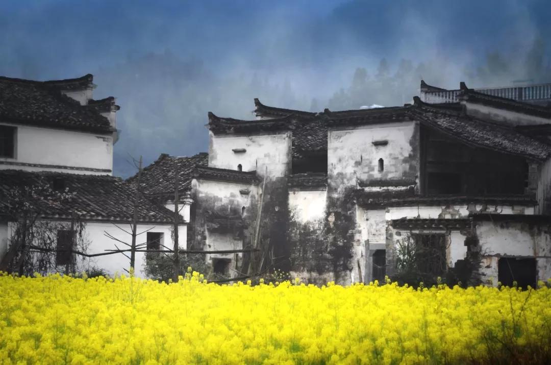 又是一年赏花时!2021全新踏春攻略,11处浪漫花海,安排上