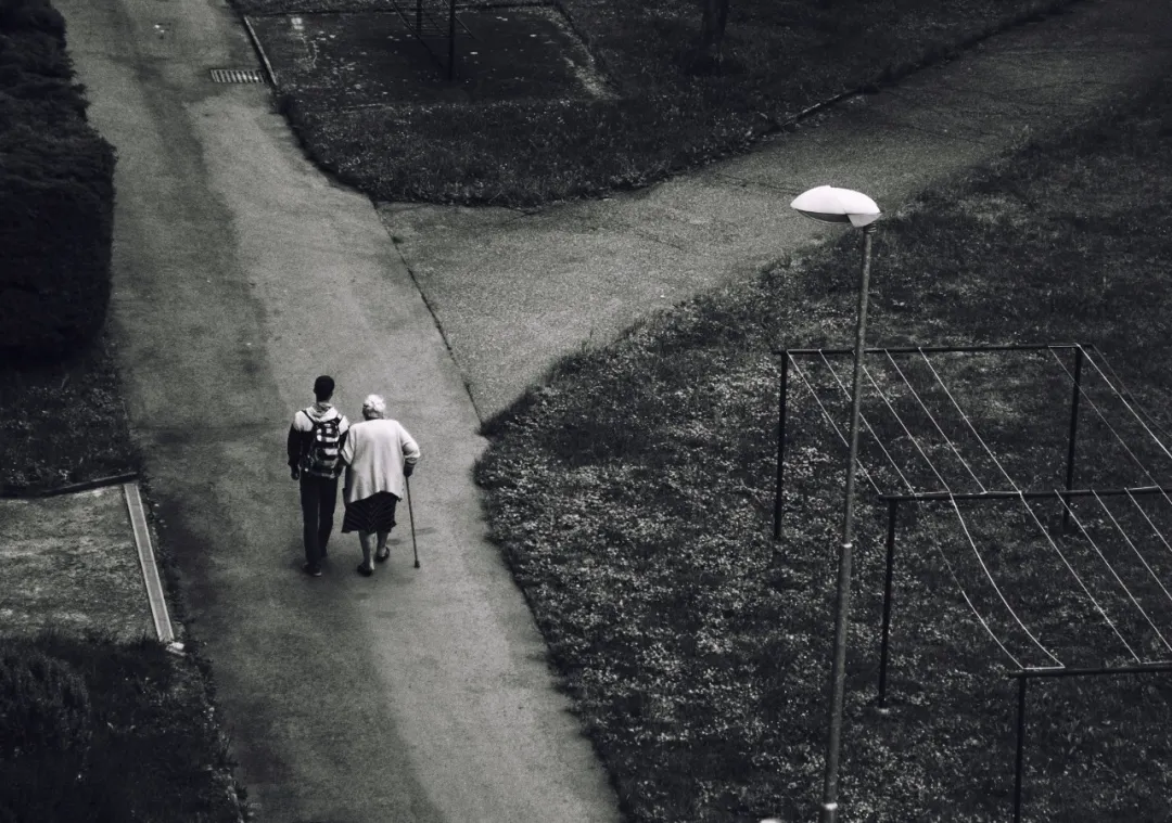 活得小心翼翼，“爸！你什么时候变得这么窝囊了？”