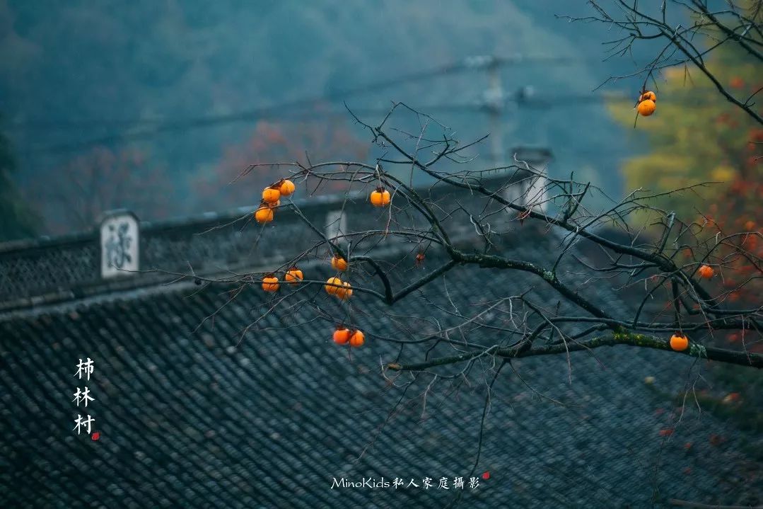 秋天必去的8个古村落,你最喜欢哪一个?8天小长假可考虑一游