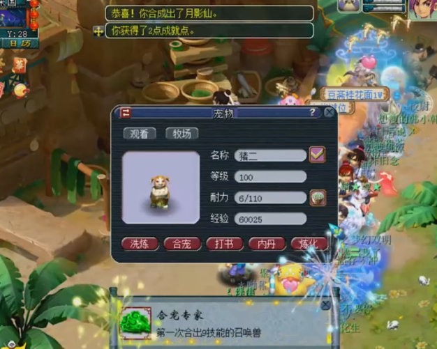 梦幻西游：别人家的合宠！即使出了大海龟，但是还是很开心