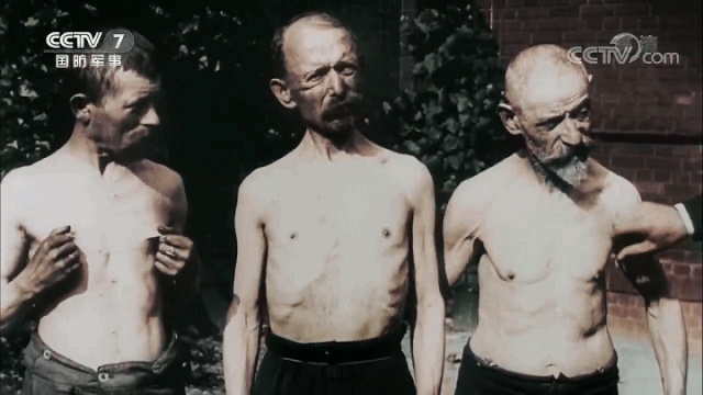 打仗捐3个月工资就行？残酷的战争会夺走你的一切