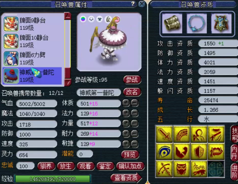 梦幻西游：神威顶级普陀，无级别六特技，每一只宝宝都充满故事