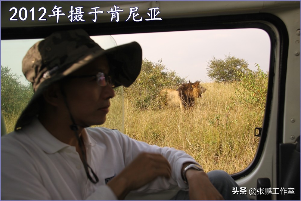 看官场内斗，不如看动物世界