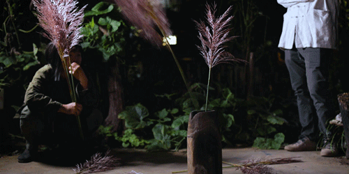 时间有点忒快了,又是一年忙秋收的季节