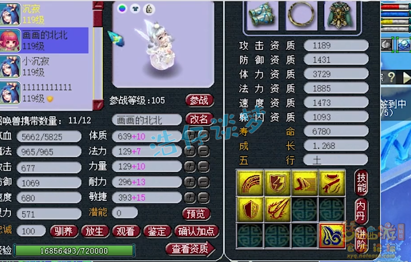 梦幻西游：109百套天宫，地煞高端PK全能，平民玩家的梦想