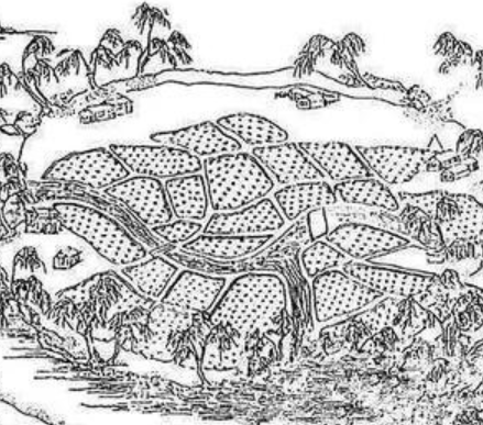 从石塘到圩田，论南方农田水利工程的变化与发展