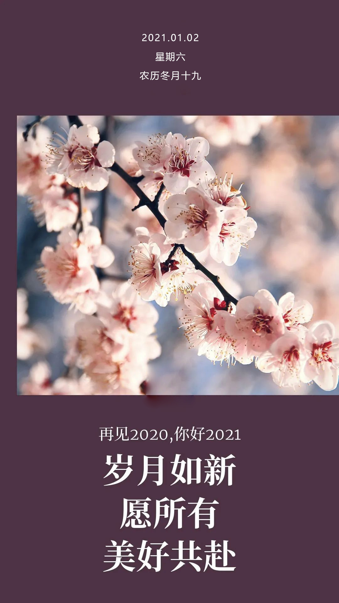 新年新征程,前程似锦!