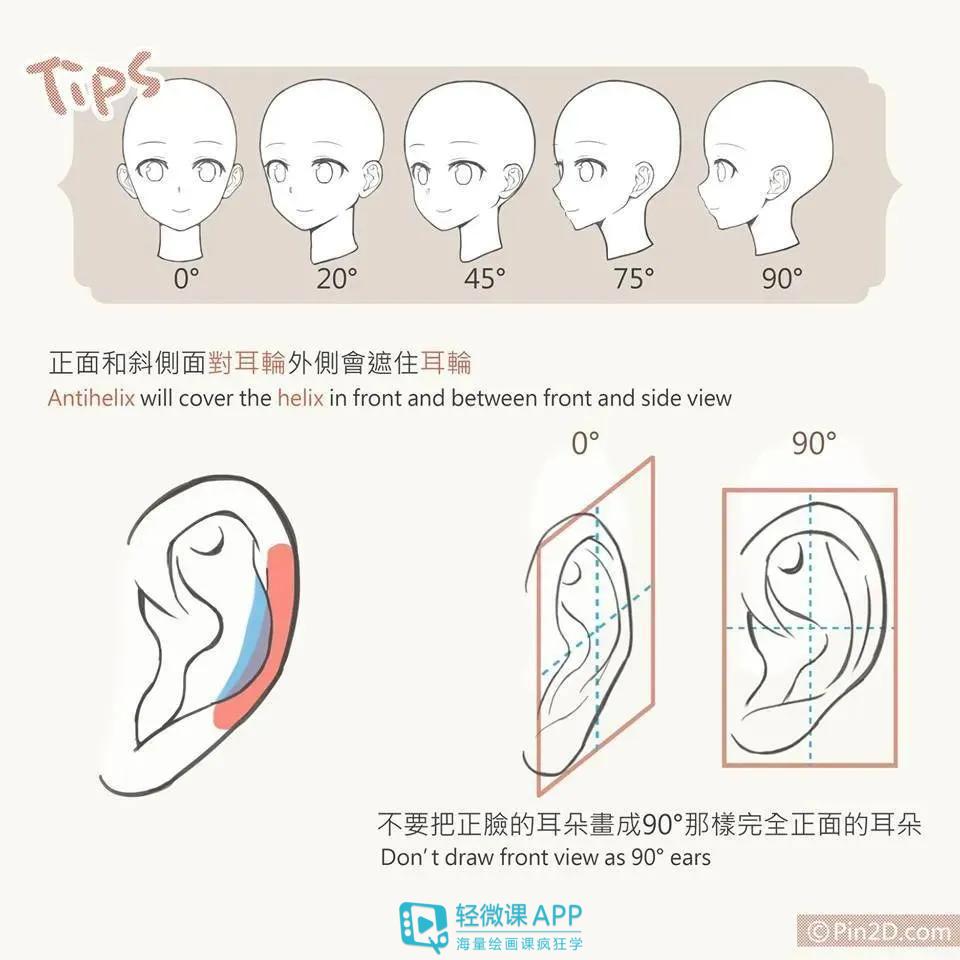 漫画人物的耳朵怎么画?漫画人体耳朵画法教程