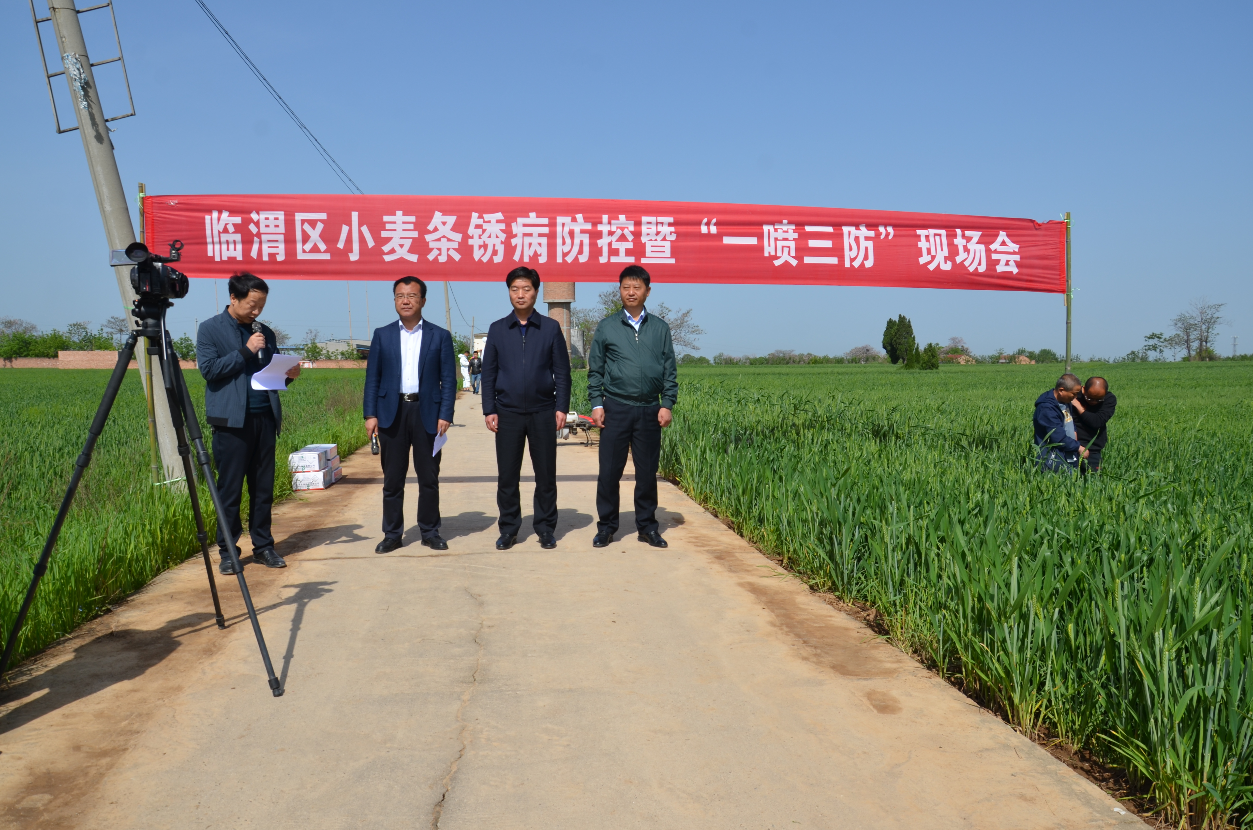 临渭区农业农村局再动员再安排掀起小麦条锈病暨一喷三防防控高潮