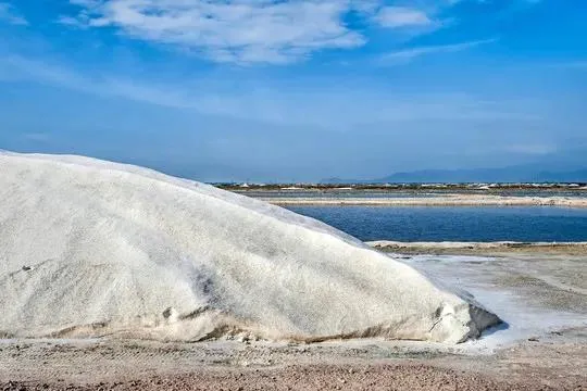 中国哪里的人最能吃盐？