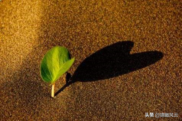 五个关键词，带你了解日本制造业的前世今生