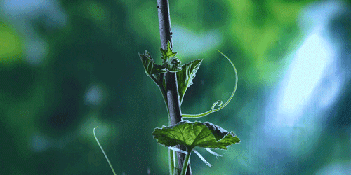 时间有点忒快了，又是一年忙秋收的季节