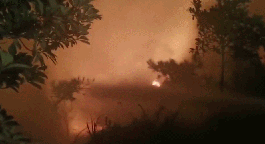 广东汕头发生山火，相关部门正全力扑救