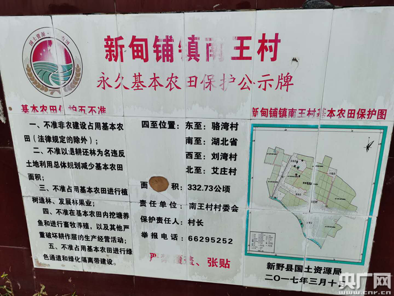 占万亩基本农田建养猪场 岂能如此"拆东墙补西墙"