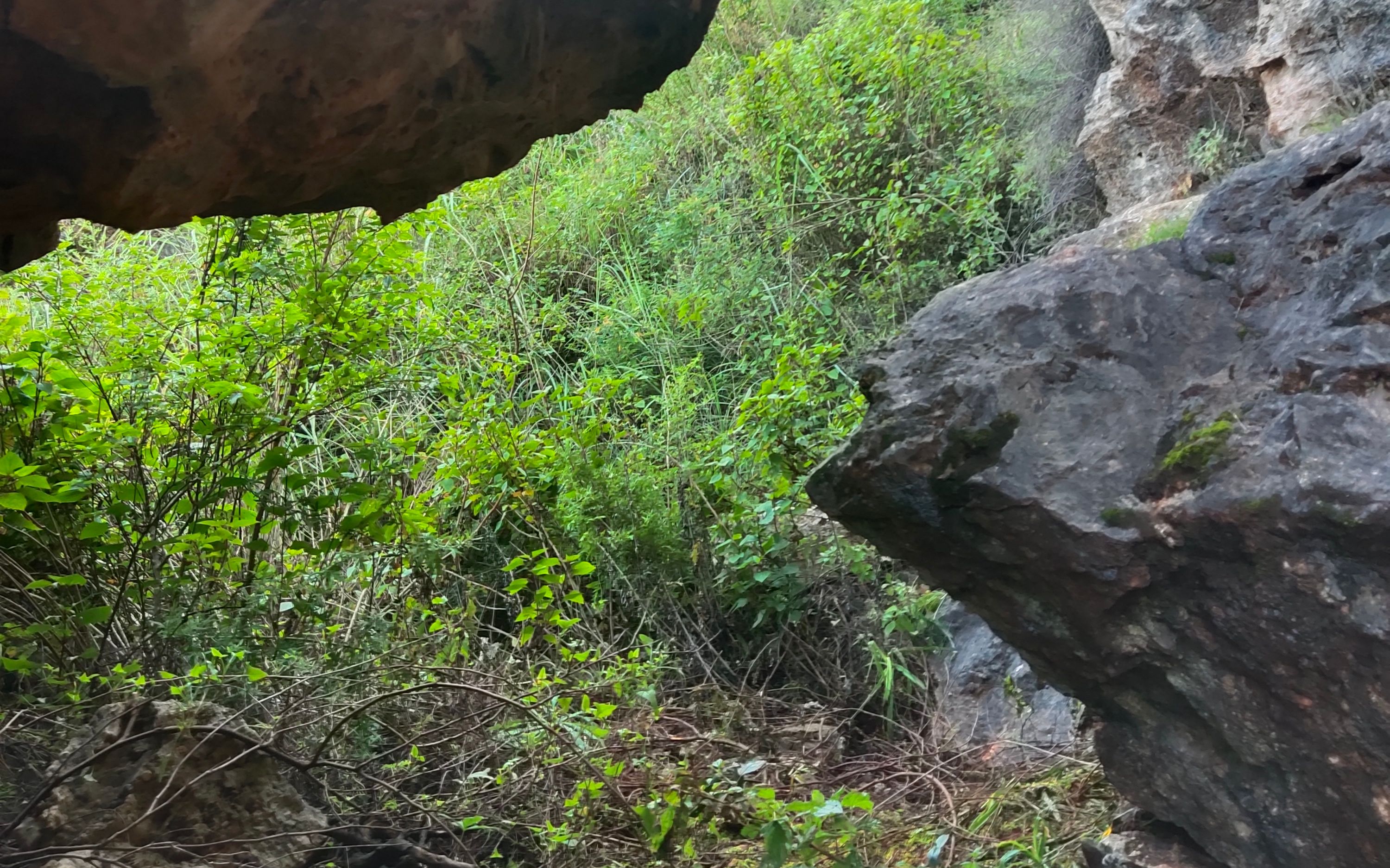 2岁男童、隐秘的山洞与一次未遂的拐卖计划