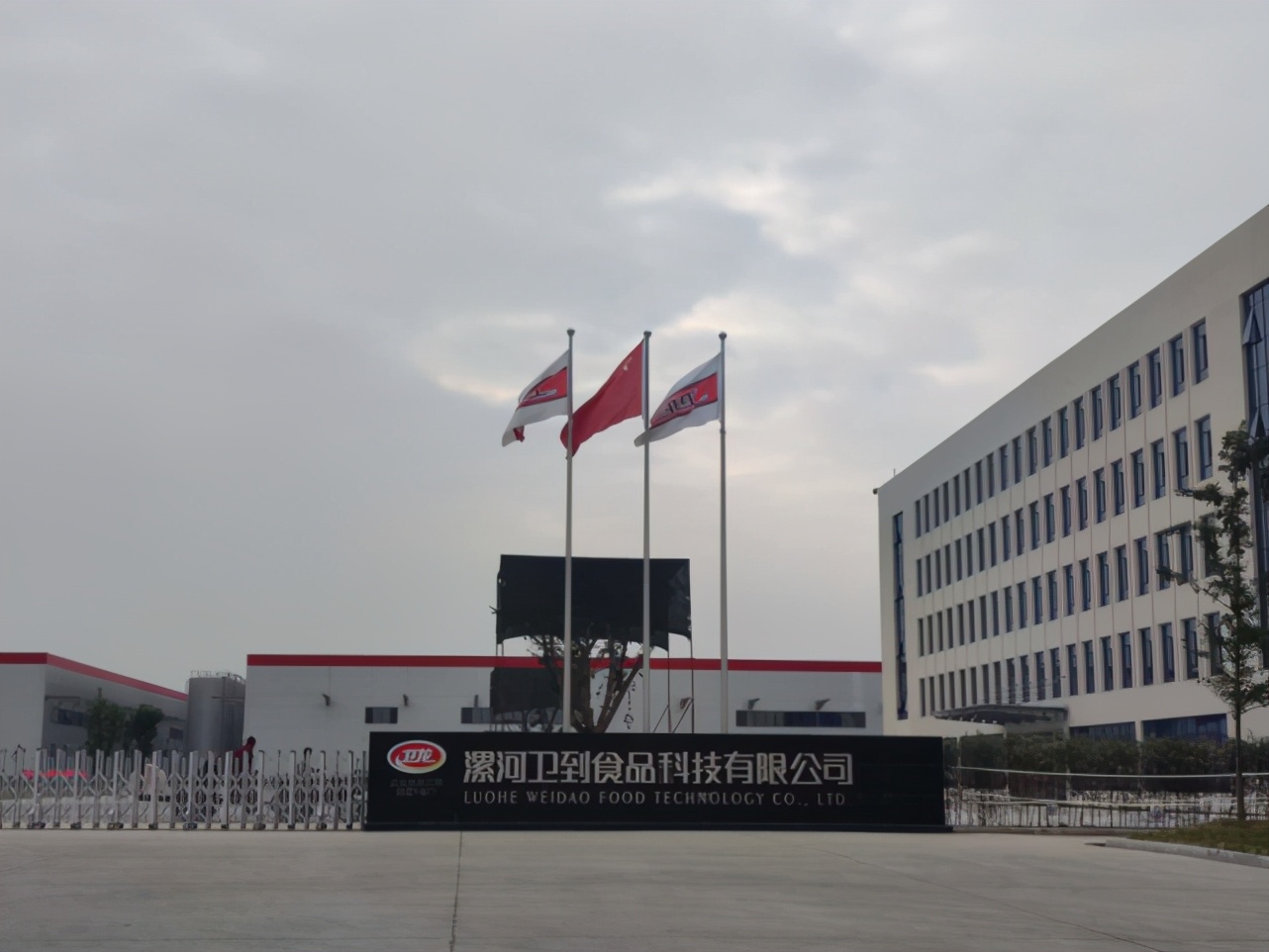 被辣条改变命运的漯河：光卫龙去年纳税4个亿