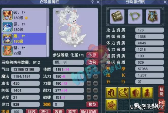 梦幻西游：老王更新净台护盾宝宝，全服第1的须弥芙蓉求超越？