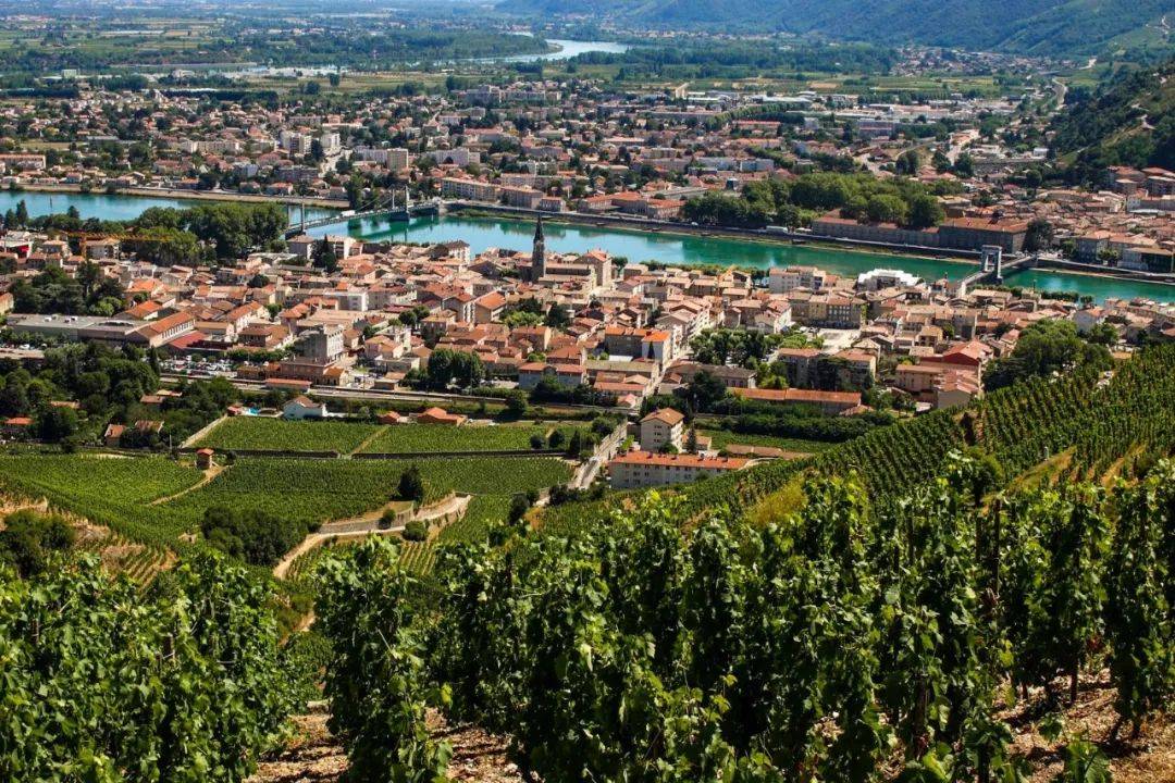 罗纳河谷:法国最大的法定红葡萄酒产区