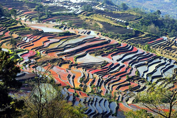 北粮南运：北方5省，如何保卫了中国人的饭碗？