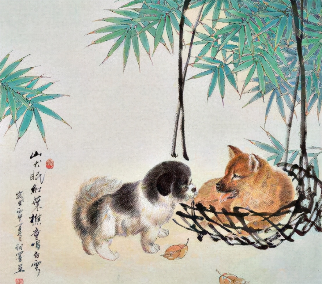 狗、狗肉、狂犬病与人类