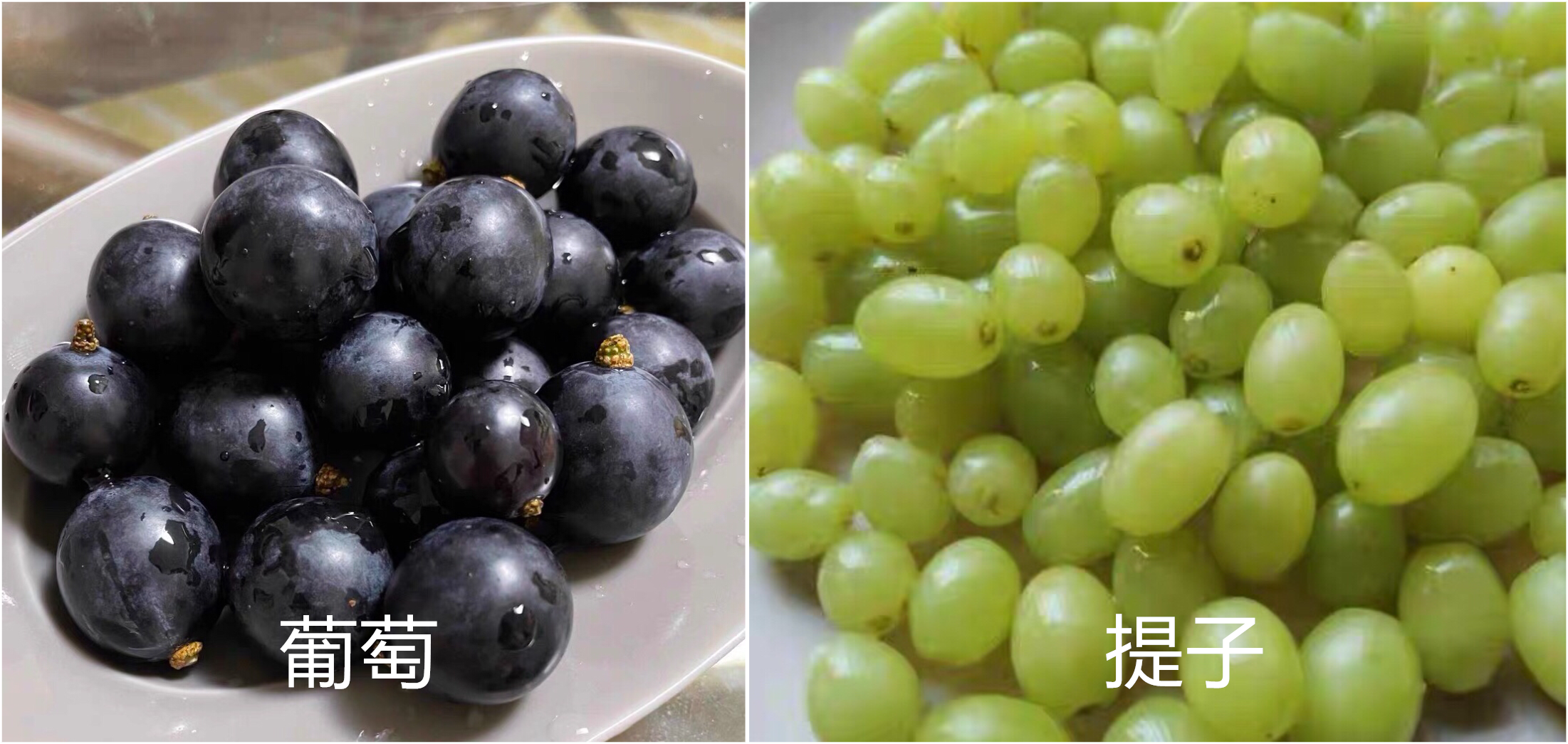 提子和葡萄的区别在哪里