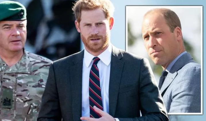 哈里恳求女王明年能把职务还给他 威廉：别做梦了