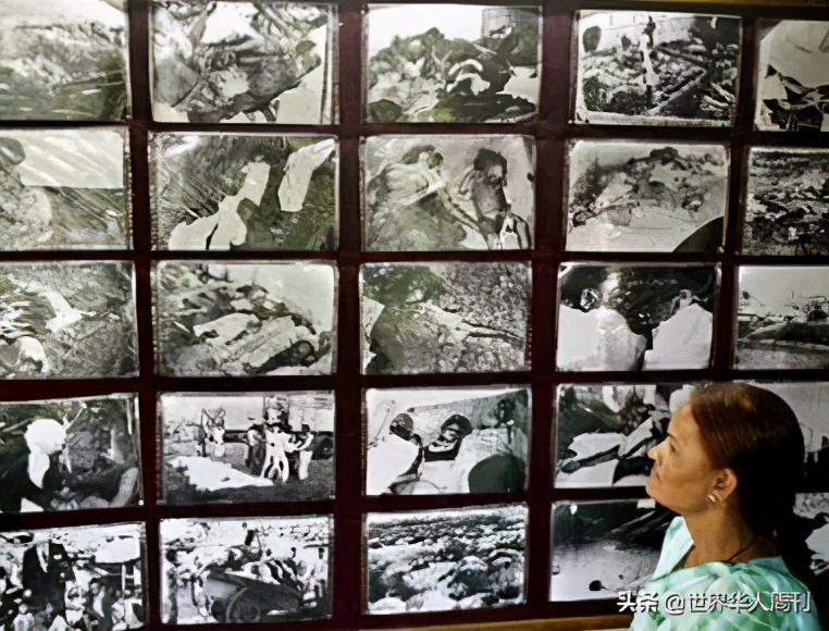 60年前轰动世界的汞中毒事件