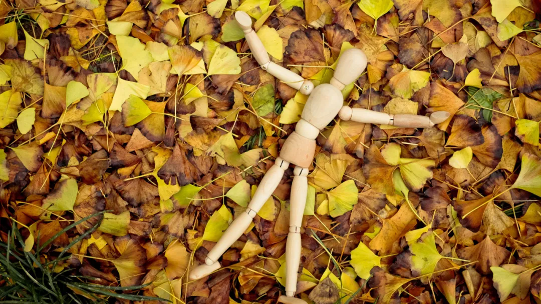 有没有只谈爱，不图钱的感情？