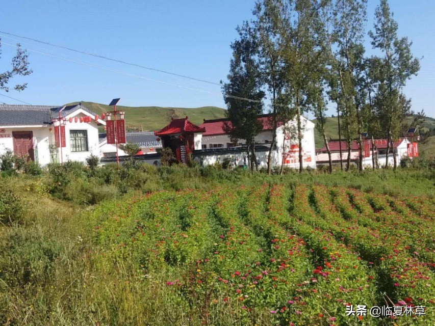 临夏州康乐县八松乡纳沟村发展乡村生态旅游助力群众脱贫致富