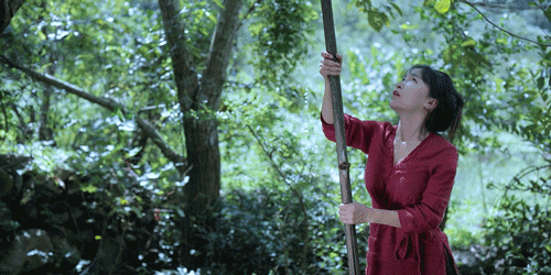 时间有点忒快了，又是一年忙秋收的季节