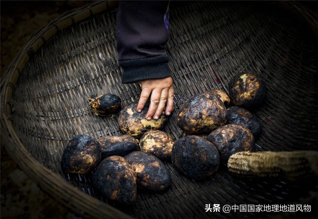 山东、河南、江苏、黑龙江…谁才是中国第一粮仓？