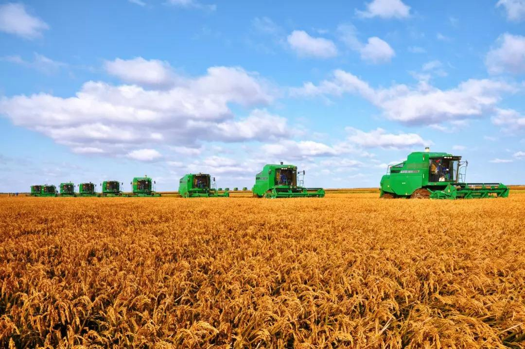 北粮南运：北方5省，如何保卫了中国人的饭碗？