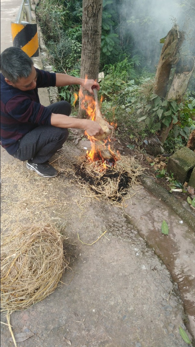 农村怎么杀鸭子的你肯定不知道!