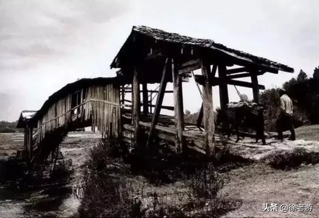 冯骥才：别再糟蹋我们的文化了