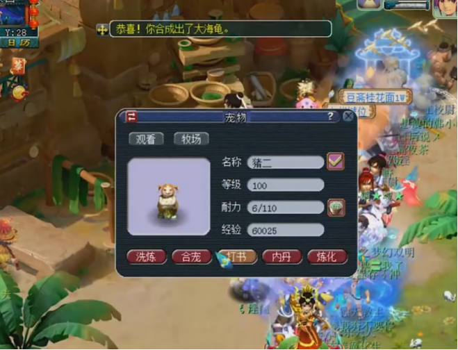 梦幻西游：别人家的合宠！即使出了大海龟，但是还是很开心