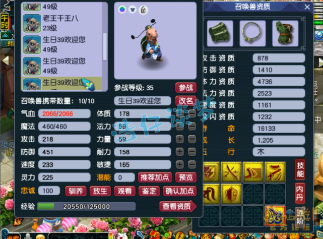 梦幻西游：39罕见花果山，全身30级装备酷爱龟丞相，8只带特殊