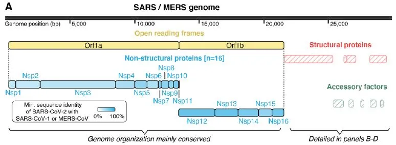 最新重磅：近期国际抗疫动态（4则）
