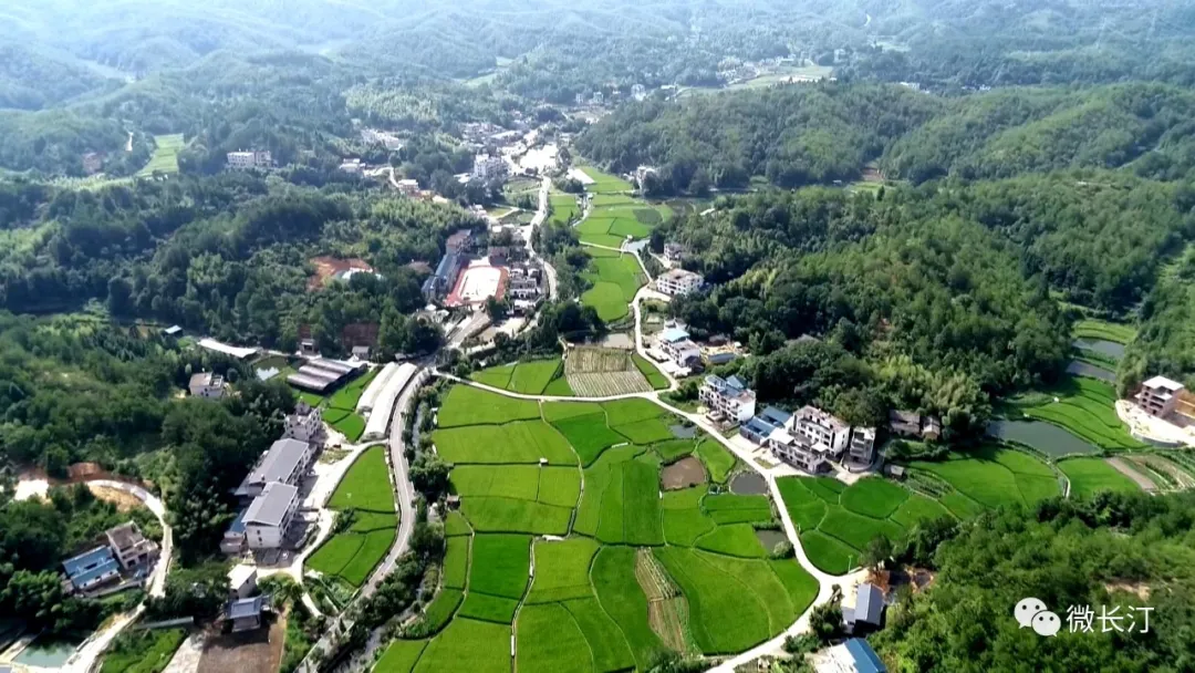 长汀县策武镇南坑村:发展乡村旅游 助力乡村振兴_乡镇动态_长汀新闻网