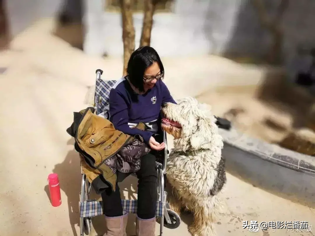 推着轮椅和绝症女友私奔的那对情侣，6年后还好吗？