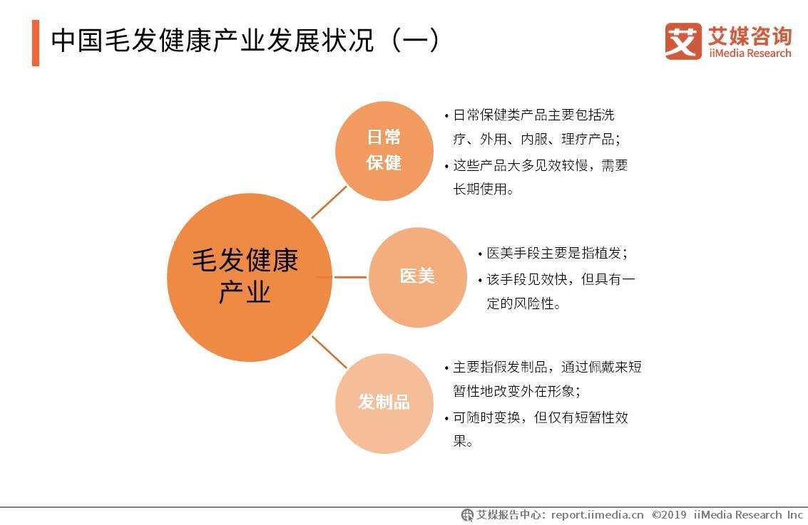 20192021年中国脱发保健行业趋势与消费行为数据研究报告