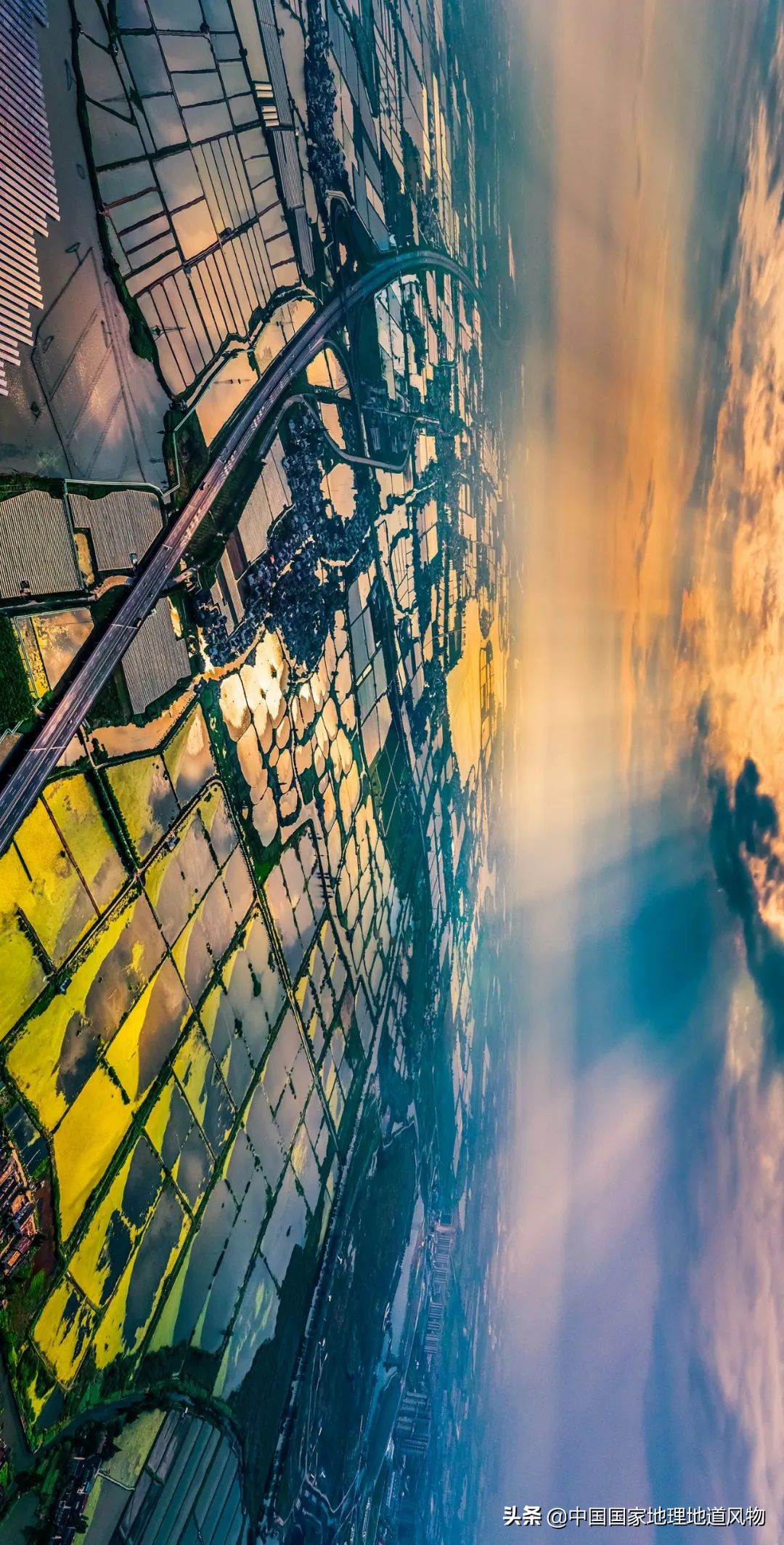 山东、河南、江苏、黑龙江…谁才是中国第一粮仓？