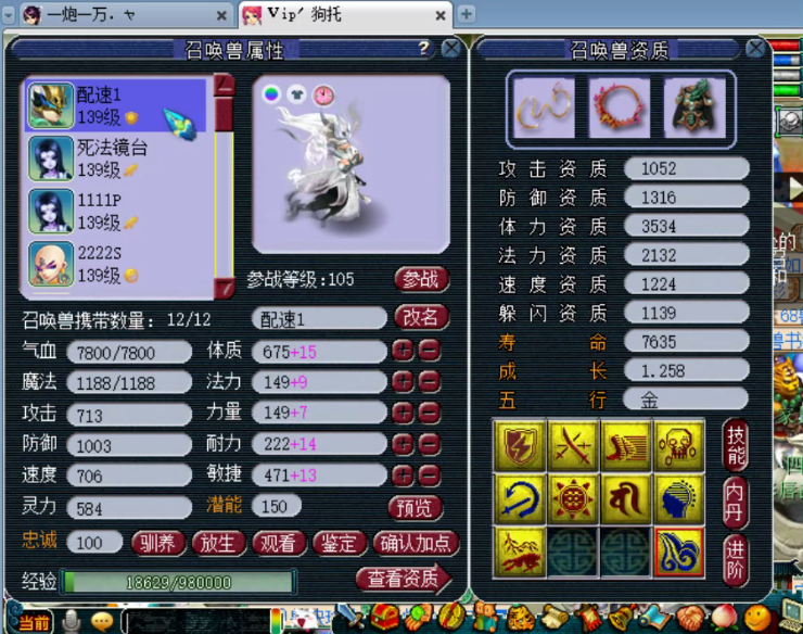 梦幻西游：天科第一普陀硬件展示，全身6特技N个13段装备