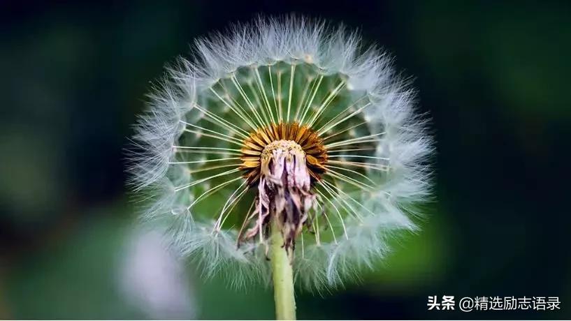 一晃就老了金典句子半生已过人生经典句子