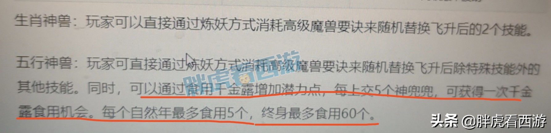 梦幻西游：超级鲲鹏消耗1797个神兜兜，神秘大佬拿完鉴定成就