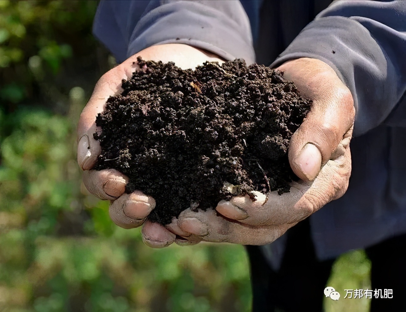 3个方面，有机肥料改良土壤的有机质及水分状况