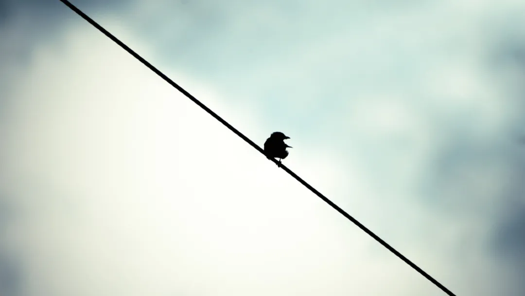 有没有只谈爱，不图钱的感情？