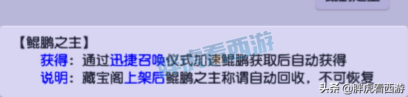 梦幻西游：超级鲲鹏消耗1797个神兜兜，神秘大佬拿完鉴定成就