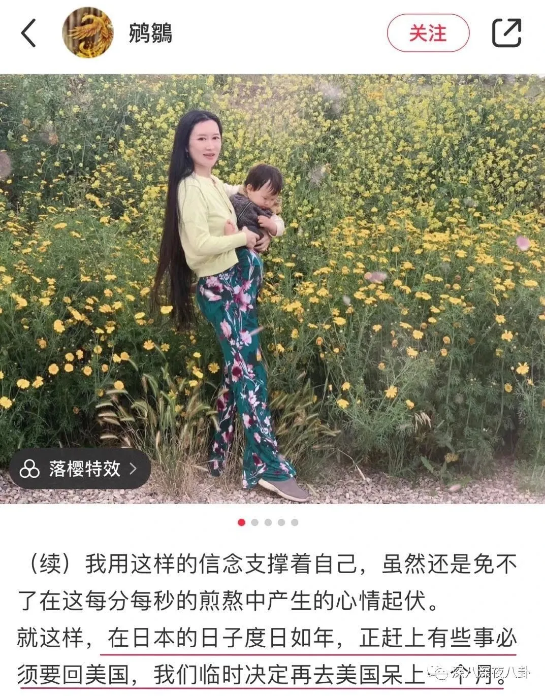 69岁再当爹，老牌海王这次收了个“娘道课代表”？