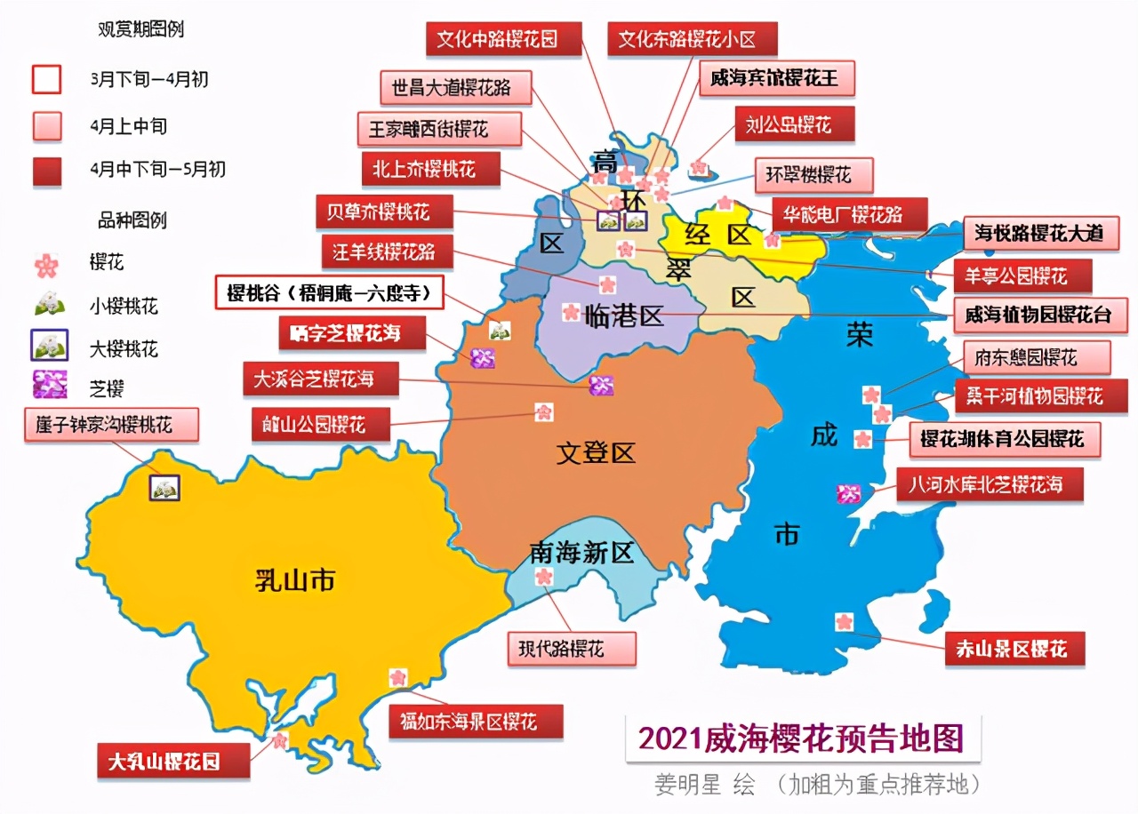 踏春赏樱!威海樱花地图,2021版