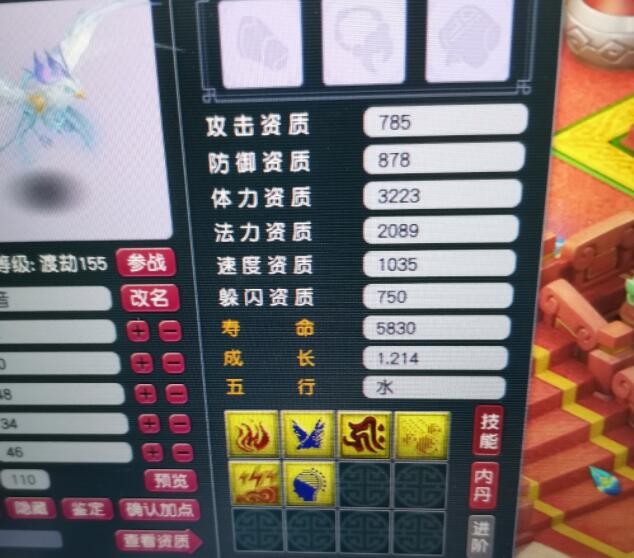 梦幻西游：盲僧也不一定会亏钱，九技能的假须弥回炉出出其须弥